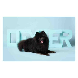 Superior 02 Sky Blue фон бумажный 1,35x6м цвет небесно-голубой