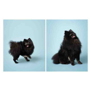 Superior 02 Sky Blue фон бумажный 1,35x6м цвет небесно-голубой