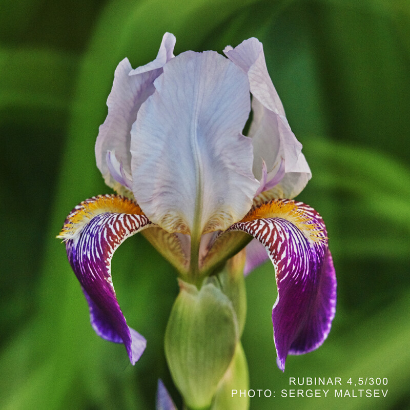 Рубинар 4,5/300 макрообъектив