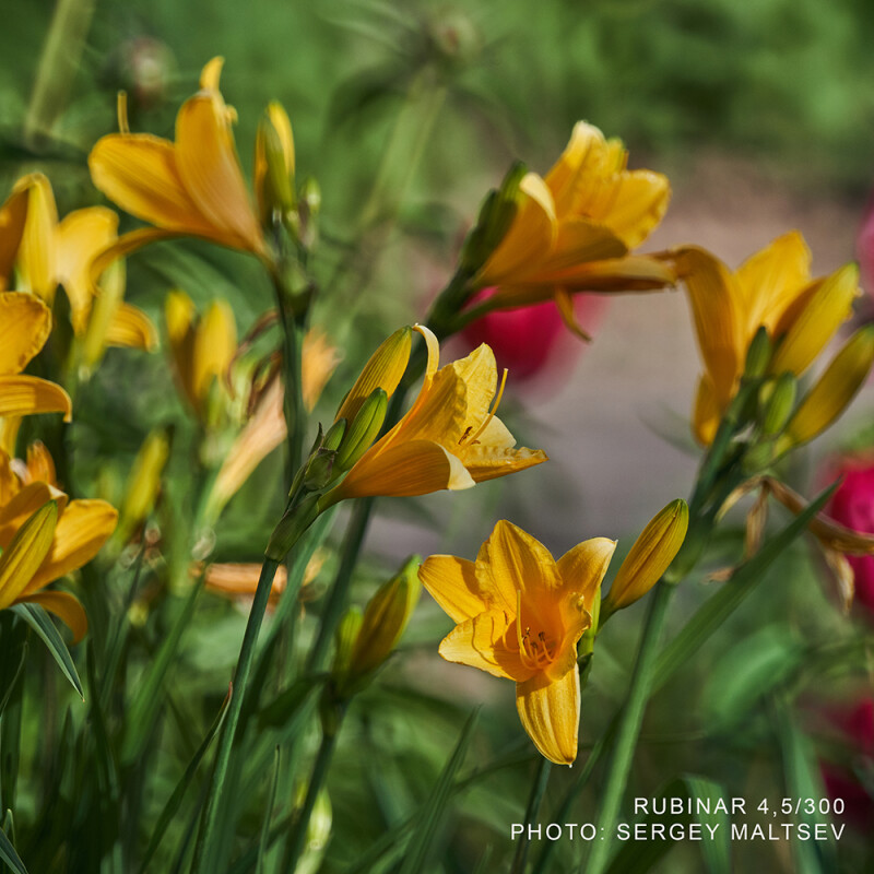 Рубинар 4,5/300 макрообъектив