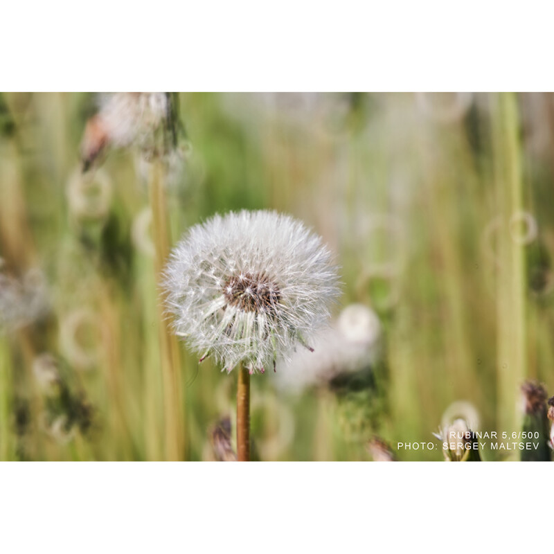 Рубинар 5,6/500 макрообъектив