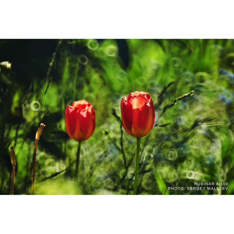 Рубинар 8/500 макрообъектив