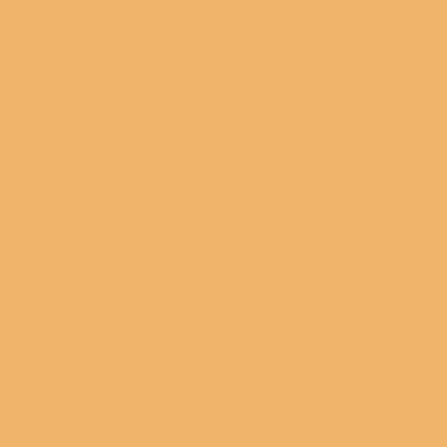 Chris James 207 Full Ct Orange+3nd фолиевый фильтр