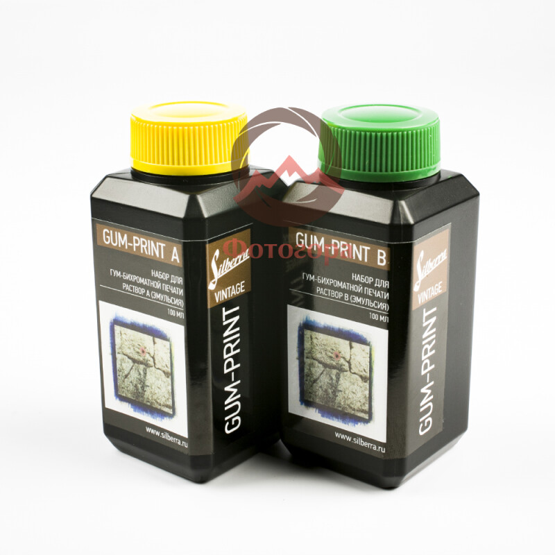Silberra Gum-Print A401 A+B набор для гумми-печати