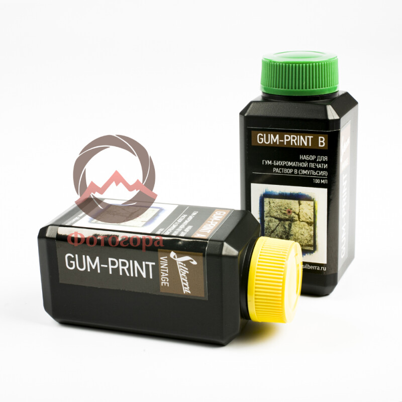 Silberra Gum-Print A401 A+B набор для гумми-печати