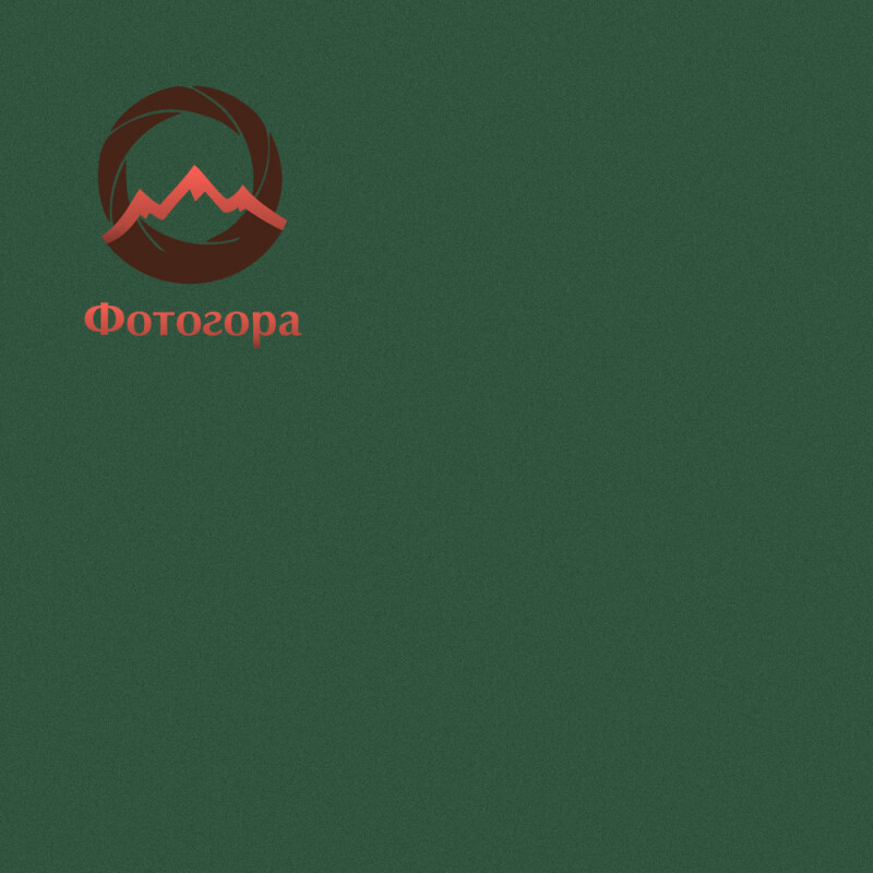 Vibrantone VBRT2124 Spruce 24 фон бумажный 2,1x6м цвет темная хвоя