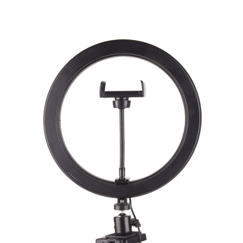 Raylab RL-0110 Kit светодиодный осветитель кольцевой