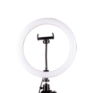 Raylab RL-0310 RGB Kit светодиодный осветитель кольцевой