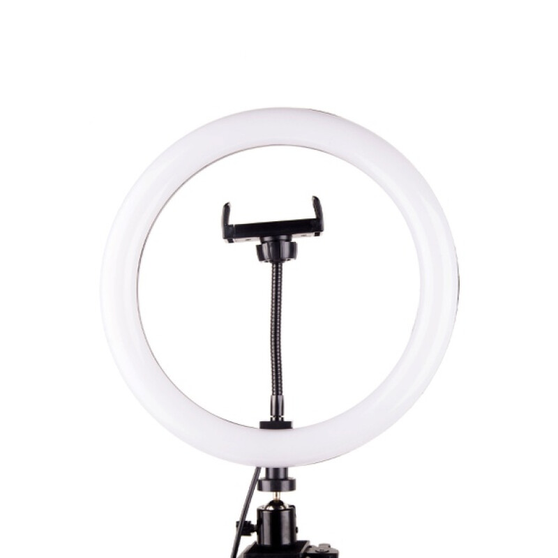 Raylab RL-0310 RGB Kit светодиодный осветитель кольцевой