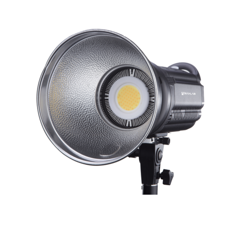 Raylab RL-100 Sunlight осветитель светодиодный 3200-6500K с сумкой