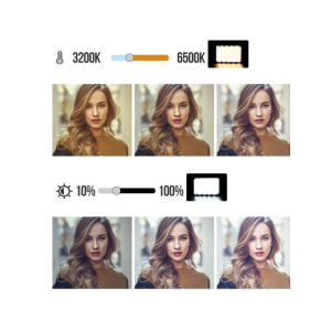 Raylab RL-LED10 Kit комплект света для ноутбука 3200-6500K