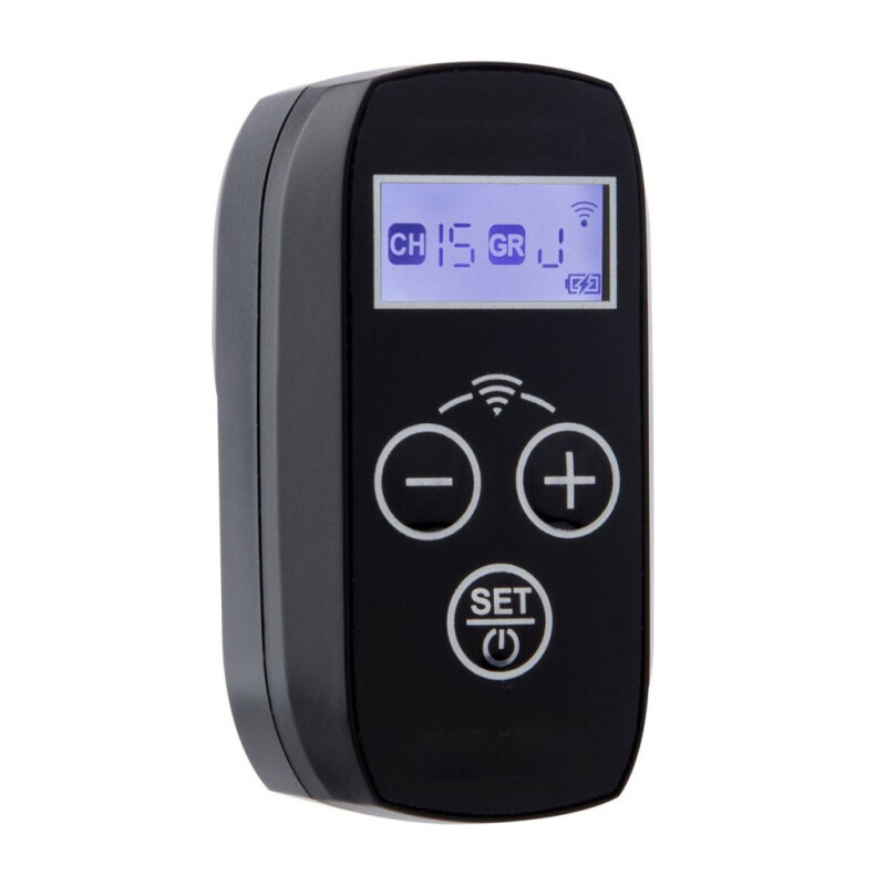 Raylab RL-SR приемник беспроводной