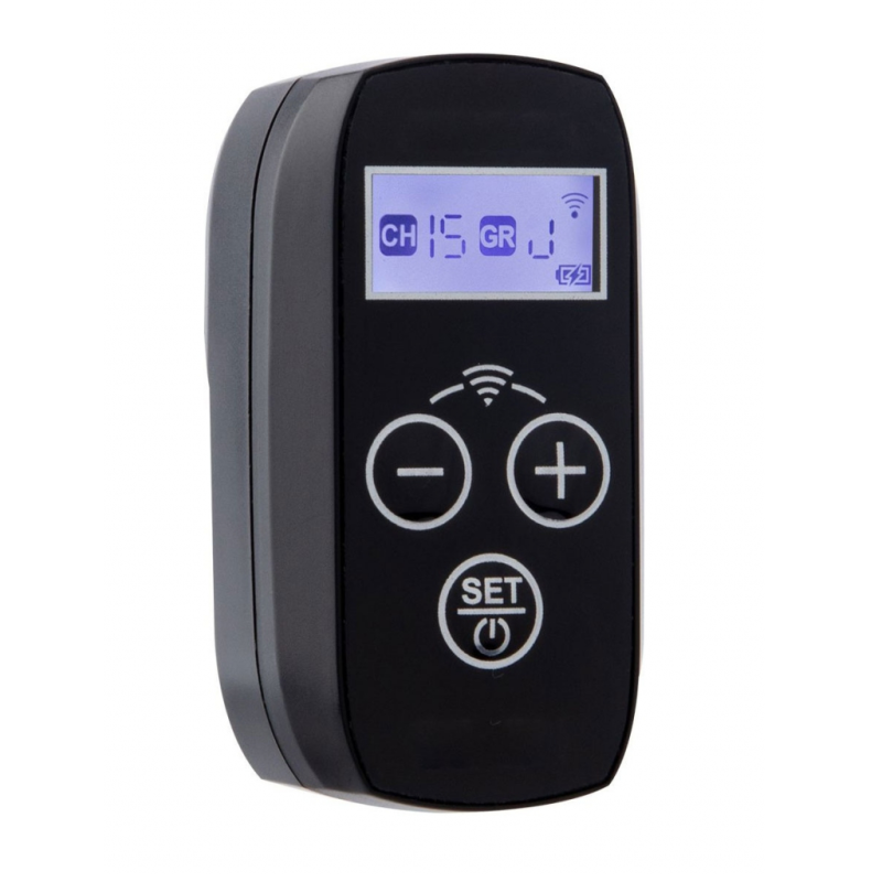 Raylab RL-SR приемник беспроводной