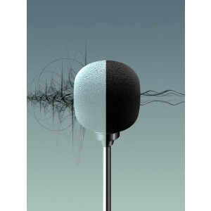 Raylab RecMic SH LavMic петличный микрофон 6 м