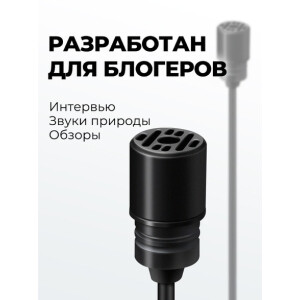 Raylab RecMic SH LavMic петличный микрофон 6 м