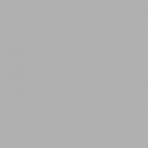 Savage (60-86) Focus Gray фон бумажный 2,18x11 м серый