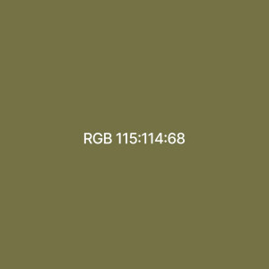 Raylab 021 Leaf фон бумажный 2.72x11 м хаки
