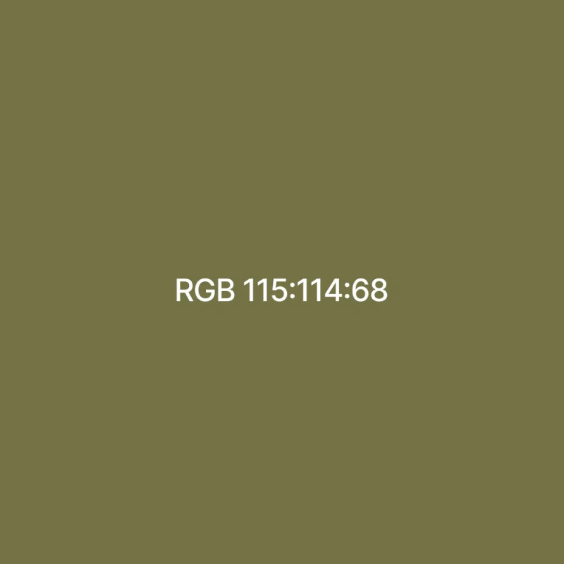Raylab 021 Leaf фон бумажный 2.72x11 м хаки