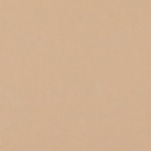 FST 1038 PONGEE фон бумажный песочный 2,72х11 м