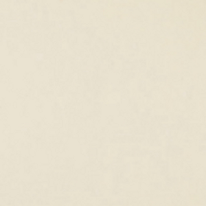 FST 1039 CREAM фон бумажный цвет шампанского 2,72х11 м