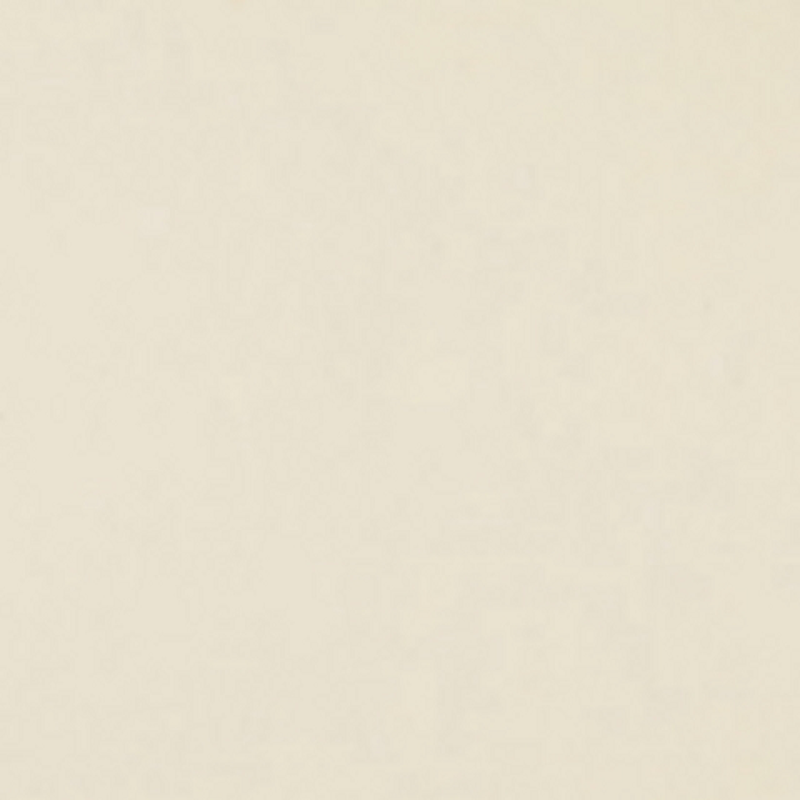 FST 1039 CREAM фон бумажный цвет шампанского 2,72х11 м