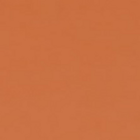 FST 1042 SPICE фон бумажный светло-коричневый 2,72х11 м FST 1042 SPICE фон бумажный светло-коричневый 2,72х11 м