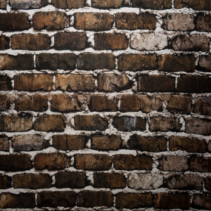 Falcon Eyes ArtPrint 1521 (02) фон