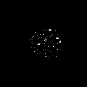 Nanlite PJ-FZ60 маски Гобо набор №2