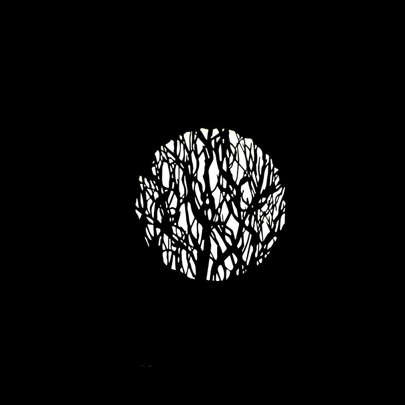 Nanlite PJ-FZ60 маски Гобо набор №2