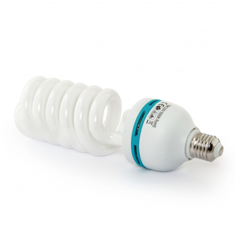 Rekam CL4-900-SB Kit комплект флуоресцентных осветителей с софтбоксами