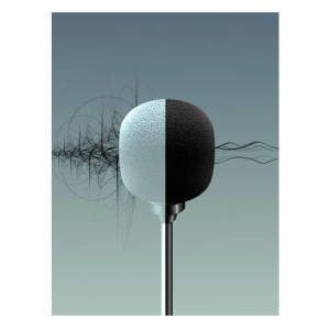 Raylab Rec. DH LavMic двойной петличный микрофон 6 м