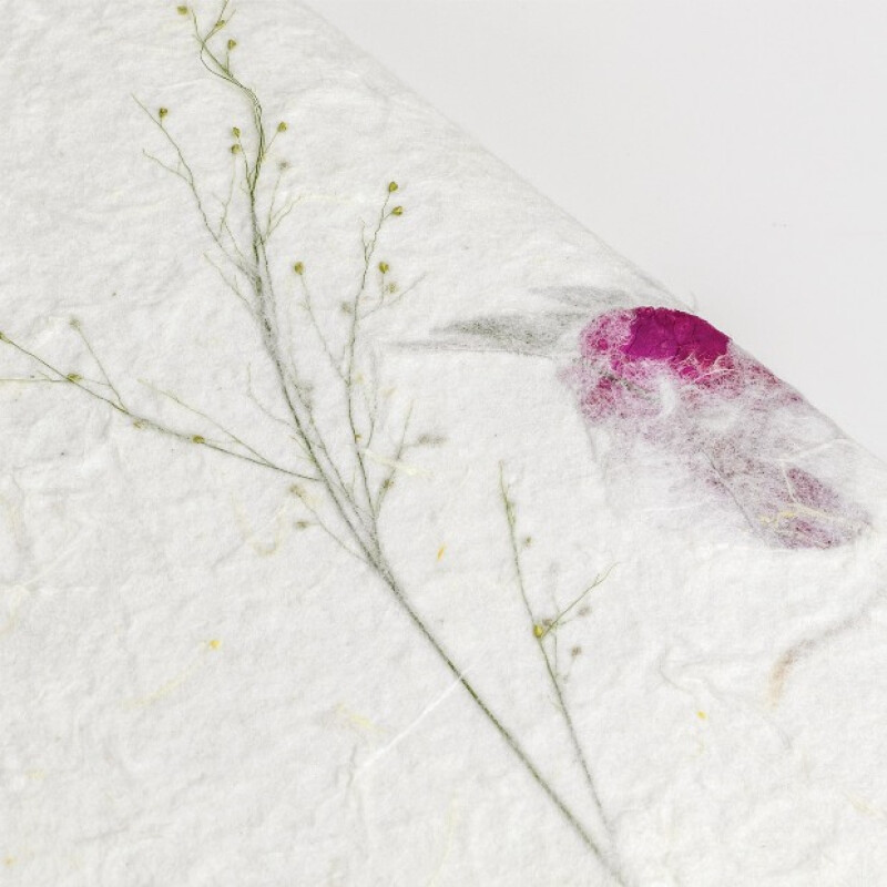 ZEP RG243230 NEPAL белый фотоальбом в коробке на 60 белых страниц 24x32