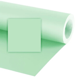 Raylab 053 Mug wort фон бумажный полынь 2.72x11 м