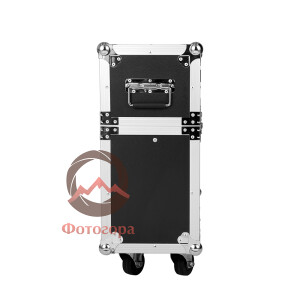 NANLUX CC-TK140B/200-2-FT TK Flight case for Dual TK-140B/TK-200 кофр на 2 прибора