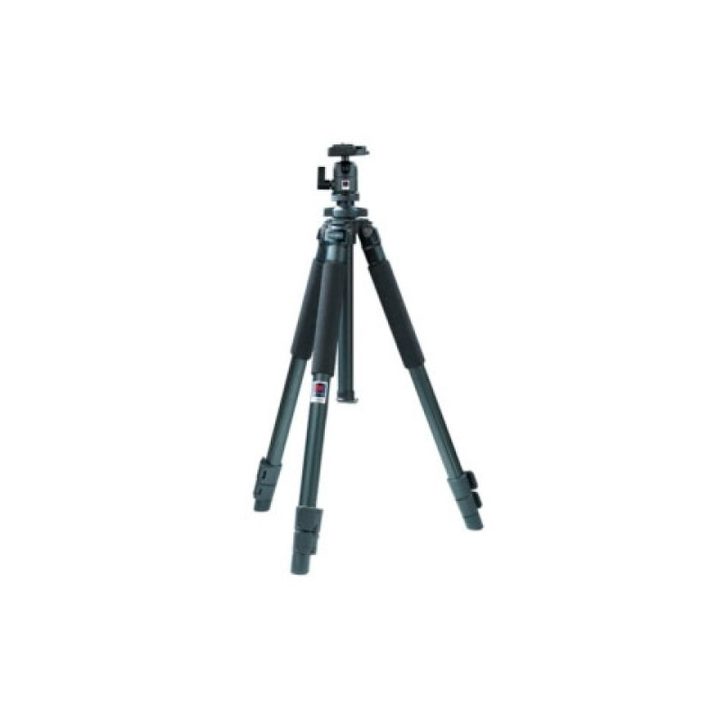 Benro A-300EX алюминиевый штатив с головой BH-1