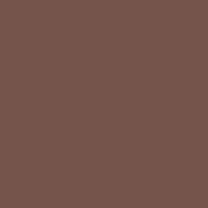 E-IMAGE EISBP1020 Background paper 20 Coco brown бумажный фон коричневый 2,72x10 м