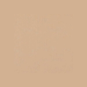 E-IMAGE EISBP1026 Background paper 26 Pongee бумажный фон песочный 2,72x10 м