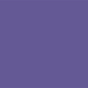 E-IMAGE EISBP1068 Background paper 68 Deep purple бумажный фон фиолетовый 2,72x10 м