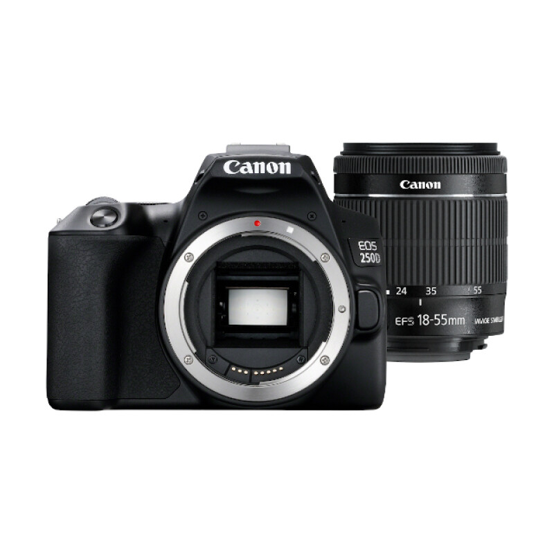 Canon EOS 250D Kit 18-55 IS STM черный зеркальный фотоаппарат