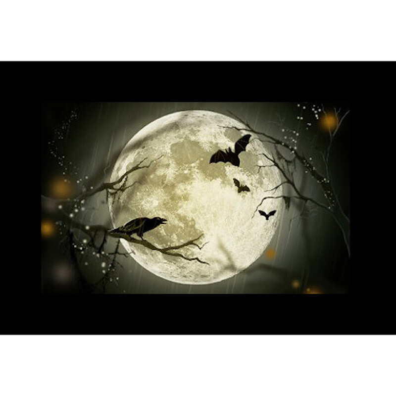 Godox AK-S02 набор слайдов