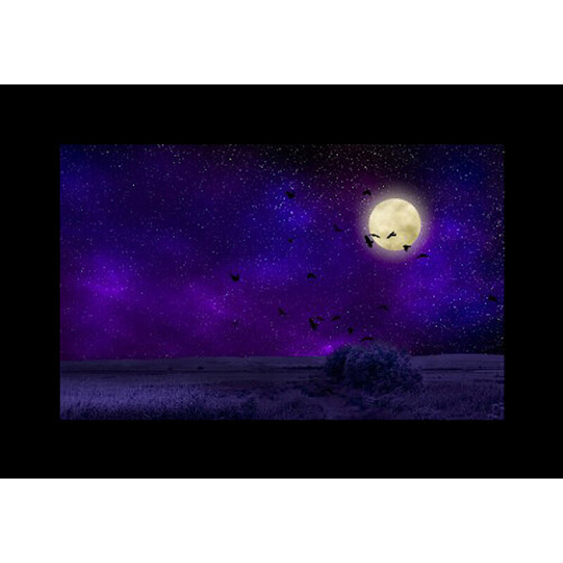 Godox AK-S02 набор слайдов