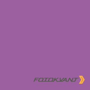 Fotokvant BGP-2711-104 Tulip Purple фон бумажный 2.72х11 м пурпурный тюльпан
