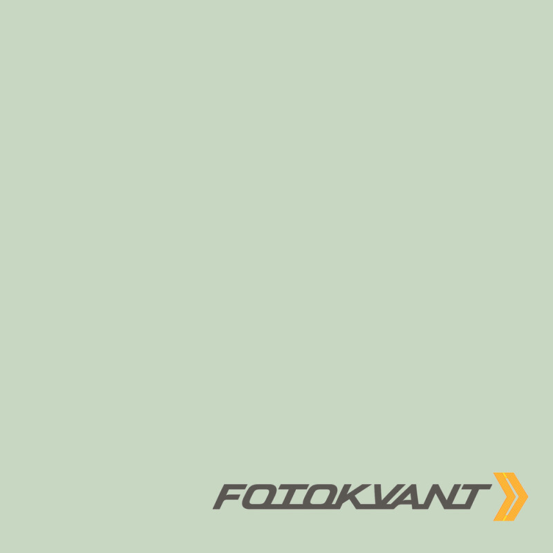 Fotokvant BGP-2711-167 Mugwort фон бумажный 2.72х11 м цвет полыни