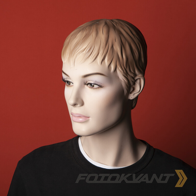 Fotokvant BGP-2711-191 Begonia Red фон бумажный 2.72х11 м красная бегония