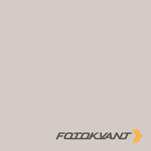 Fotokvant BGP-2711-58 Slate Grey фон бумажный 2.72х11 м светло-серый