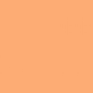 FST 166 фон пластиковый персиковый матовый 60х130