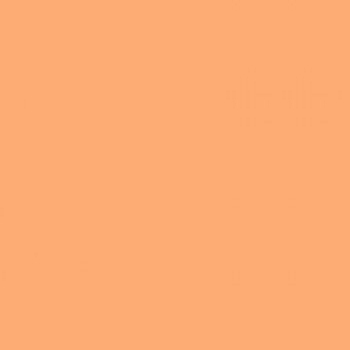 FST 277 фон пластиковый персиковый матовый 100х120