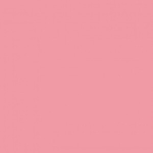 FST 279 фон пластиковый розовый матовый 100х120