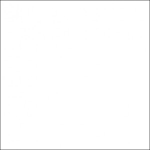 FST 449 фон пластиковый белый матовый/глянцевый 100х120