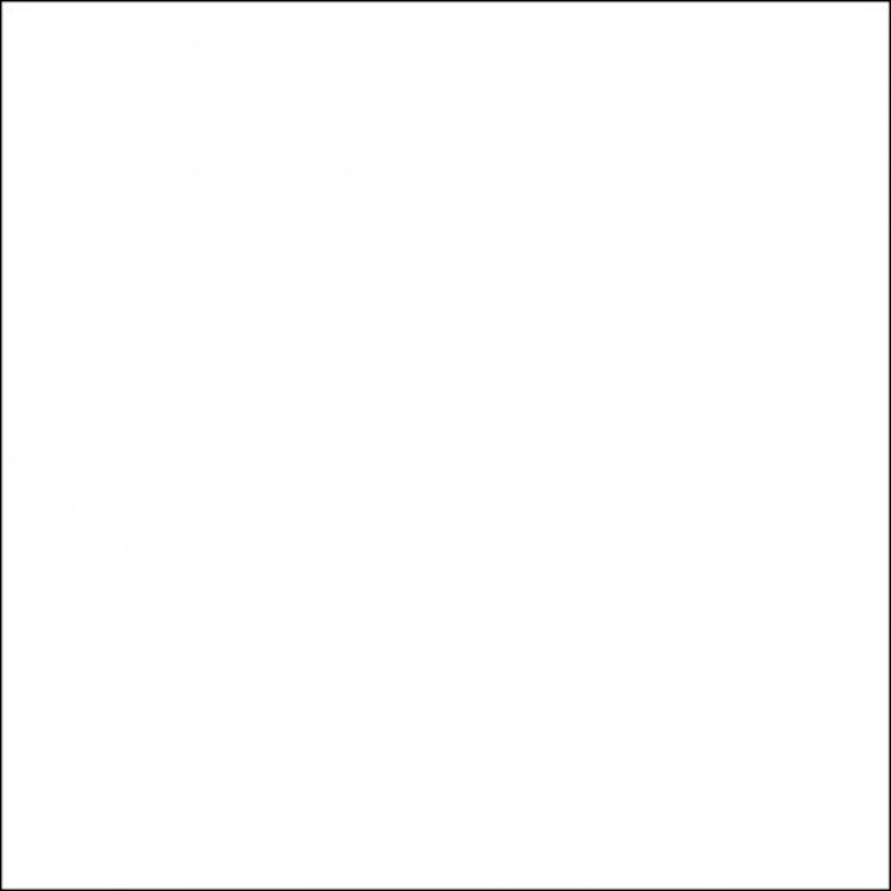 FST 449 фон пластиковый белый матовый/глянцевый 100х120